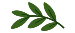 logo-ryskiai-zalias-lapas